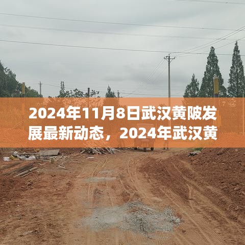 2024年武漢黃陂發(fā)展最新動(dòng)態(tài)探索，融入?yún)^(qū)域發(fā)展大潮的步伐