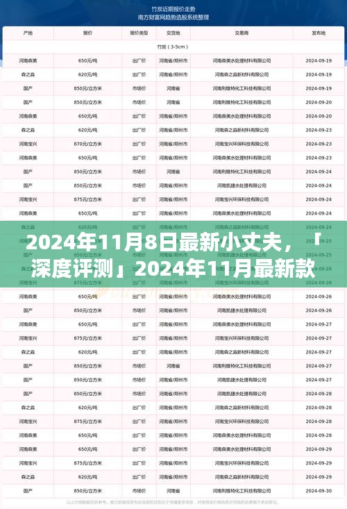 深度評測，全方位解析2024年最新款小丈夫產(chǎn)品特性與用戶體驗體驗報告