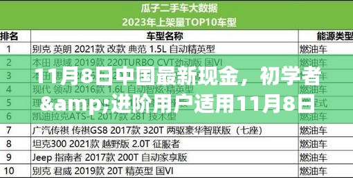 初學(xué)者與進(jìn)階用戶指南，11月8日中國(guó)最新現(xiàn)金操作指南及任務(wù)完成步驟詳解