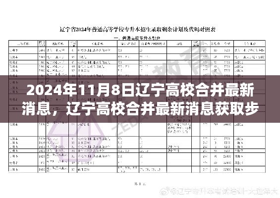 遼寧高校合并最新消息獲取指南，初學者與進階用戶適用，2024年高校合并最新動態(tài)揭秘