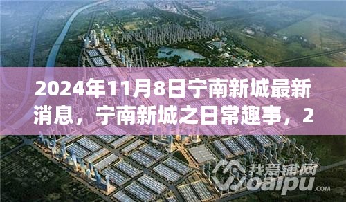 寧南新城日常趣事與陽光溫情，2024年11月8日最新消息