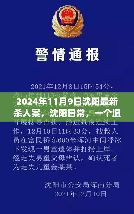 沈陽殺人案背后的友情與陪伴故事，日常溫馨背后的真相（2024年）