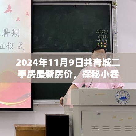 2024年共青城二手房最新房?jī)r(jià)揭秘，小巷特色小店探秘