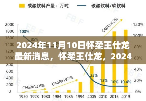 懷柔王仕龍最新動(dòng)態(tài)與深遠(yuǎn)影響力揭曉，2024年11月10日更新