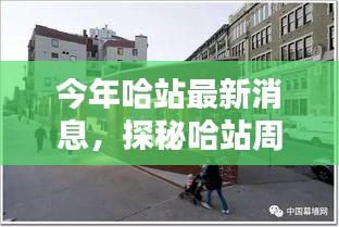 哈站周邊小巷隱藏一家特色小店，獨特環(huán)境驚艷亮相，等你來探秘！