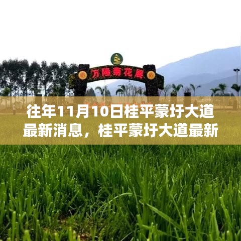 桂平蒙圩大道最新動(dòng)態(tài)獲取全攻略，輕松掌握最新消息動(dòng)態(tài)