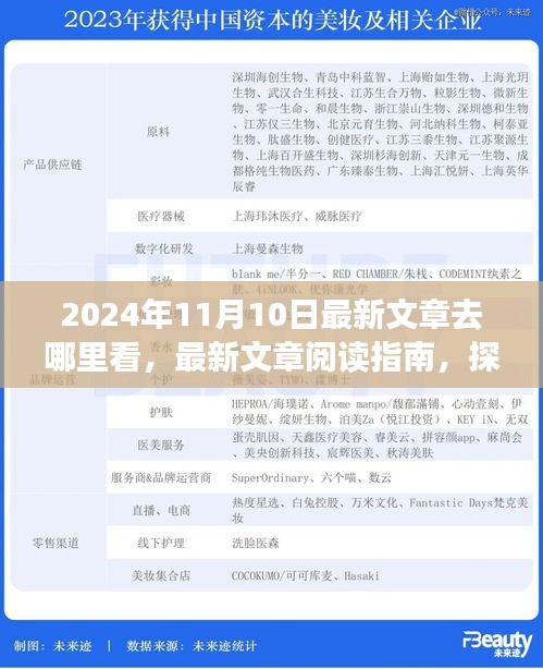 探尋最新文章閱讀指南，揭秘2024年11月10日的精彩內容