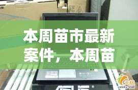 本周苗市熱點揭秘，最新案件動態(tài)全掌握