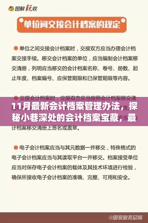 探秘最新會計檔案管理辦法，小巷深處的寶藏與獨特故事揭秘