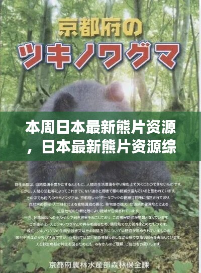 日本最新熊片資源綜述，背景、進(jìn)展與特定領(lǐng)域地位探討