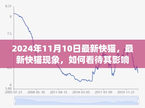 最新快貓現(xiàn)象，影響與未來(lái)發(fā)展觀察（2024年觀察點(diǎn)）