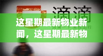 最新物業(yè)新聞一周概覽，全面解讀物業(yè)領(lǐng)域最新動態(tài)