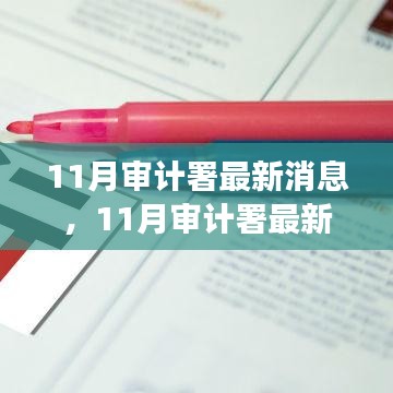 11月審計署最新消息深度解析與觀點闡述