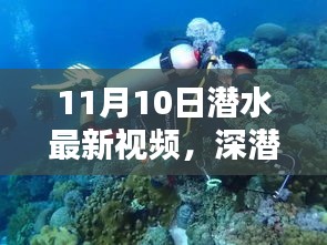 揭秘深潛新紀元，潛水最新視頻的時代意義與影響（11月10日更新）