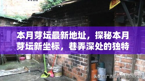 探秘本月芽壇新坐標(biāo)，巷弄深處的獨特小店最新地址揭秘