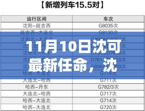 沈可新任命的背后，背景、影響與時代地位分析（最新更新）