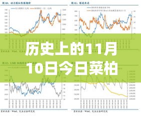 歷史上的11月10日，菜柏價(jià)格背后的勵志故事與最新行情，自信成就感的源泉