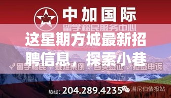 方城最新招聘信息揭秘，小巷秘境與獨特小店之旅