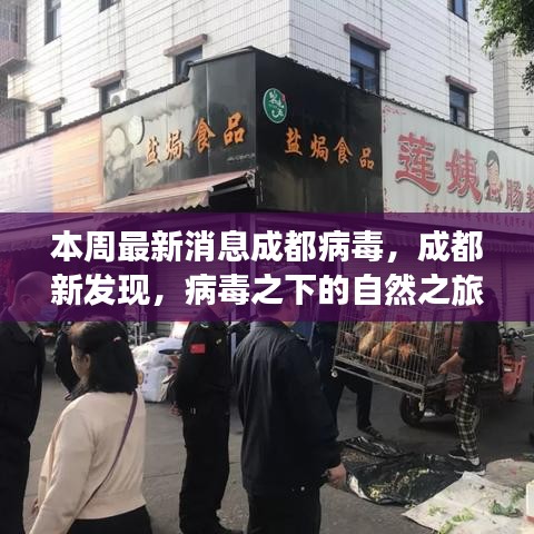 成都病毒新發(fā)現(xiàn)，自然之旅中的心靈港灣探尋