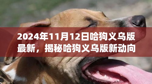 揭秘哈狗義烏版新動向，深度解讀與最新動態(tài)（2024年11月12日）