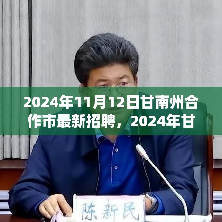 2024年甘南州合作市最新招聘盛會(huì)，職業(yè)發(fā)展的理想舞臺(tái)開啟