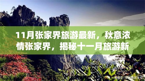 揭秘十一月張家界秋意濃情，最新旅游指南開啟新篇章