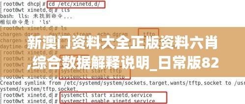 新澳門資料大全正版資料六肖,綜合數據解釋說明_日常版822.09