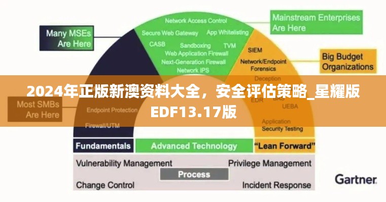 2024年正版新澳資料大全，安全評(píng)估策略_星耀版EDF13.17版