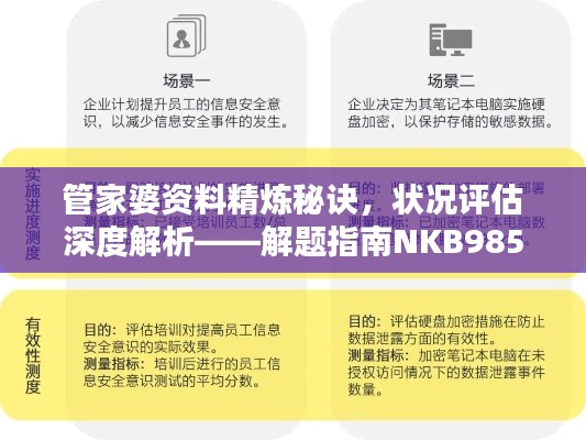 管家婆資料精煉秘訣，狀況評(píng)估深度解析——解題指南NKB985.33