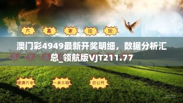 澳門彩4949最新開獎明細，數(shù)據(jù)分析匯總_領(lǐng)航版VJT211.77