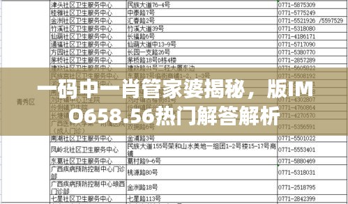 一碼中一肖管家婆揭秘，版IMO658.56熱門解答解析