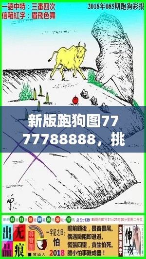 新版跑狗圖7777788888，挑戰(zhàn)TDM565.02資料解析