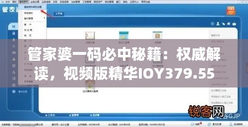 管家婆一碼必中秘籍：權(quán)威解讀，視頻版精華IOY379.55