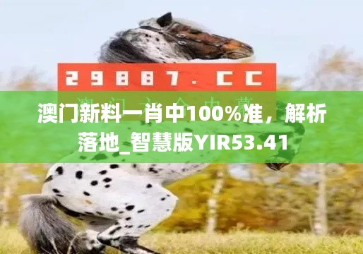 澳門新料一肖中100%準(zhǔn)，解析落地_智慧版YIR53.41