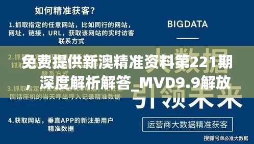 免費提供新澳精準資料第221期，深度解析解答_MVD9.9解放版