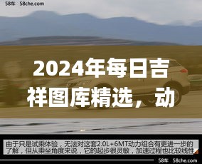 2024年每日吉祥圖庫精選，動態(tài)解讀_SXR232.69遺憾缺席