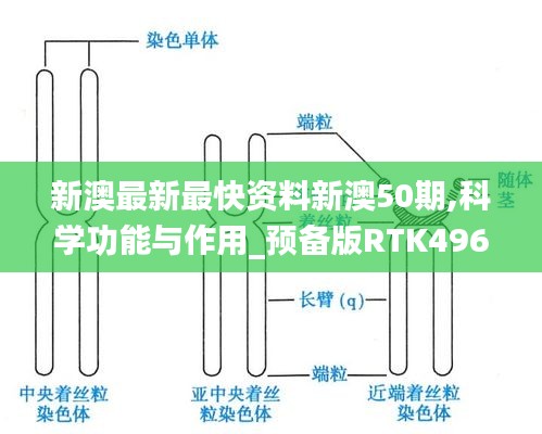 新澳最新最快資料新澳50期,科學(xué)功能與作用_預(yù)備版RTK496.23