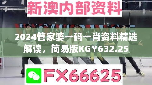 2024管家婆一碼一肖資料精選解讀，簡易版KGY632.25