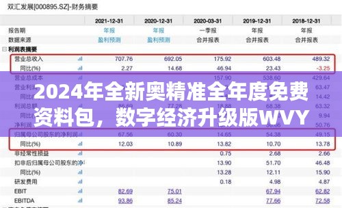 2024年全新奧精準(zhǔn)全年度免費(fèi)資料包，數(shù)字經(jīng)濟(jì)升級(jí)版WVY560.95