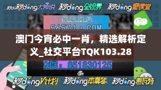 澳門(mén)今宵必中一肖，精選解析定義_社交平臺(tái)TQK103.28