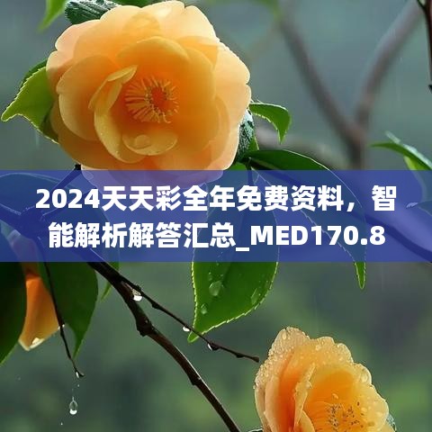 2024天天彩全年免費資料，智能解析解答匯總_MED170.88版