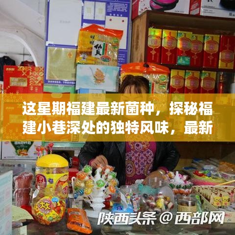 福建小巷深處的獨特風味，最新菌種小店之旅探秘記