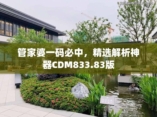 管家婆一碼必中，精選解析神器CDM833.83版