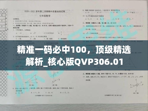 精準(zhǔn)一碼必中100，頂級精選解析_核心版QVP306.01