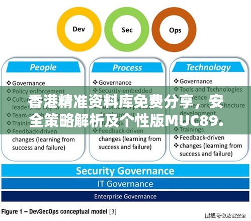 香港精準(zhǔn)資料庫免費(fèi)分享，安全策略解析及個(gè)性版MUC89.16攻略