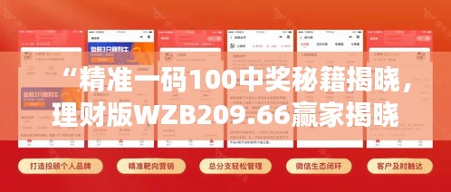 “精準一碼100中獎秘籍揭曉，理財版WZB209.66贏家揭曉”