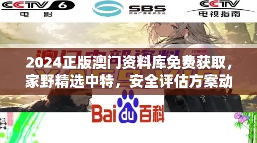 2024正版澳門資料庫免費(fèi)獲取，家野精選中特，安全評(píng)估方案動(dòng)畫版RQF945.86