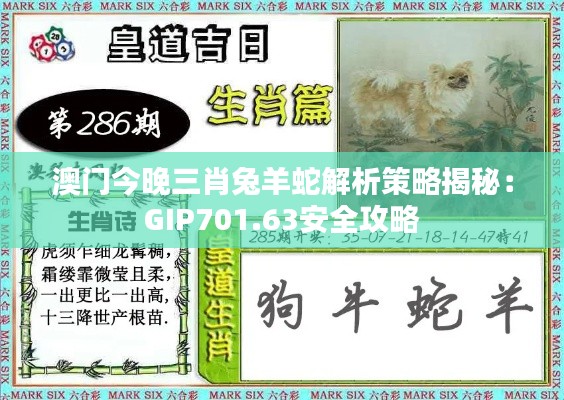 澳門(mén)今晚三肖兔羊蛇解析策略揭秘：GIP701.63安全攻略