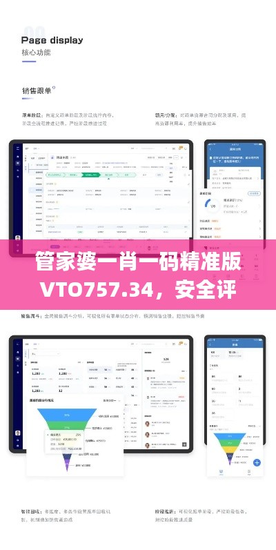 管家婆一肖一碼精準(zhǔn)版VTO757.34，安全評估策略方案_尊享付費版