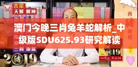 澳門今晚三肖兔羊蛇解析_中級版SDU625.93研究解讀